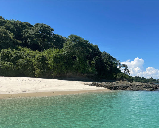 The Best Fishing Spots in Panama